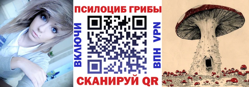 Купить где  Кизел  Галлюциногенные грибы мицелий 